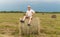 A man sitting on a large armful of straw in an empty field