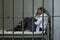 Man Sitting In Prison Cell