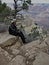 Man sitting on a Rock Overlooking the Grand Canyon