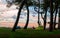 Man sitting at sunset on beach near tents under trees