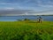 Man sitting on a wooden bench at lake Corrib, looking at dragon throwing flame looking cloud on horizon. sunny warm day