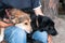 Man sittting and holding two dogs snuggled up to each other in forest