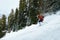 Man skier rides freeride on powder snow in forest