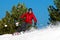 Man skiing between trees