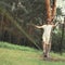 Man slacklining walking and balancing on a rope, slackline in forest