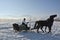 Man with sledge pulled by horses outdoor in winter