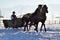 Man with sledge pulled by horses outdoor in winter