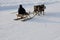 The man are sledging with deers in the snowy field track.