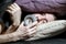 Man sleeps covered with a pillow holding clock