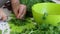 A man slices parsley with a knife on a chopping Board. Next to the table there is a lot of parsley and beet tops. Taken on the