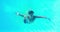 Man in snorkel jumping in swimming pool waving at camera