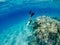 Man snorkeling and freediving near the coral reef edge in Red Sea