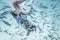 Man is snorkeling in wonderful ocean`s water