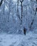 Man in the snow with umbrella