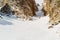 A man a snowboarder freerider descends a backcountry at high speed from a slope