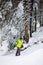 man snowboarder walking by snowed forest