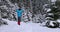 A man in a snowy winter forest