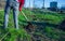 The man sows with a shovel, man mowing the grass