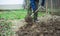 Man with spade in dirt, farmer working