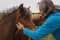 Man speaking with horses on a meadow at summer time, whisperer