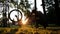 Man spins the wheel and checks the chain on an upturned bike at sunset in the park