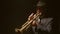 Man in spotlight on dark background in jacket and hat plays music on trumpet, front view. Jazzman plays trumpet