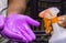 Man spraying hand sanitizer on hands wearing purple glove
