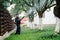 Man spraying toxic pesticides and herbicides in fruit orchard