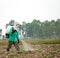 Man spraying vegetables in the garden