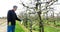 Man spraying water on a tree in vineyard 4k