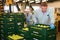 Man stacking boxes with selected apples