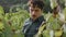 Man standing grape plantation looking on yellow leaves checking vine close up.