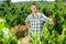 Man standing in grapes tree yard