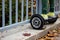 Man standing near the fence on the black hoverboard