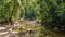 Man standing near river at tropical jungle forest in Gunung Mulu National park. Sarawak.