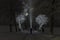 Man standing outdoors at night in tree alley shining with flashlight