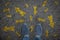 Man standing on road with many direction arrow choices or move