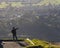 Man standing on the Te Mata Peak carpark, looking at the views of surrounding Hawkeâ€™s bay region