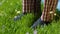 Man stands on the grass in Slippers. Male feet in sneakers on the grass