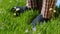 Man stands on the grass in Slippers. Male feet in sneakers on the grass