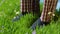 Man stands on the grass in Slippers. Male feet in sneakers on the grass