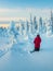 Man stands with his back in deep snow and admires the stunning views of snow-covered trees against the background of a cold polar