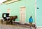 Man stands with horse and cart taxi on street in Trinidad, Cuba.