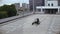 Man starts a motorbike and drives on top of the multi-level parking