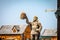 A man statue hold beer mug in front of Beer Plaza Restaurant stands towering with its giant beer barrel in the French Village