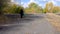 Man with stick walking on a country road and holding an old green suitcase