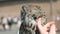 Man stoking the feathers of owl outdoors