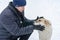 A man is stroking a large street dog in the snow. An adult man crouches next to a white and red male dog. A kind stray dog. A