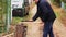 A man on a stump briskly chops a stick with an ax, and the chips are flying.