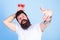 Man successful gardener king of strawberry blue background. Man bearded hipster holds hand with strawberries above head